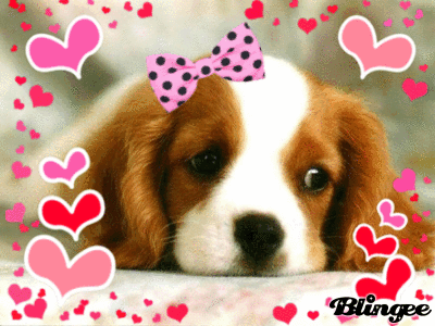 le chien trop mignon Picture #123832782 | Blingee.com le chien trop mignon Picture #123832782 | Blingee.com
