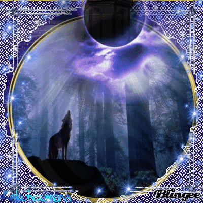 Https Encrypted Tbn0 Gstatic Com Images Q Tbn 3aand9gcsugw4v Vfj9820dkoe Iqbgheqnhxrgsjtqw Usqp Cau