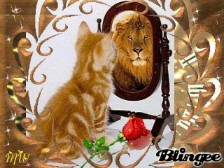 Https Encrypted Tbn0 Gstatic Com Images Q Tbn 3aand9gcsnixigjba Zu35qzedeco7aimppuqi 2t3vw Usqp Cau