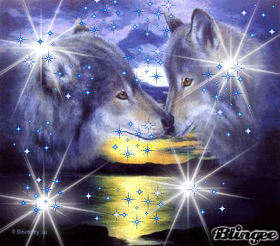 Lupi Innamorati Codici E Download Di Immagini Animate 124129699 722993647 Blingee Com