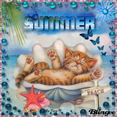 Summer Seashell Catnap Summer Seashell Catnap