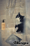 !!!splash!!!
