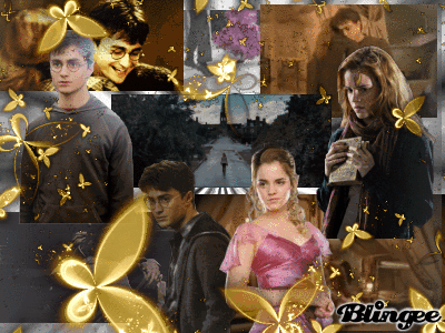 Immagine Harry Potter and Hermione Granger #124329405 | Blingee.com