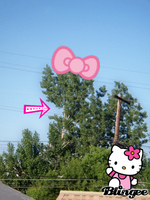 HELLO KITTY SIGHTING