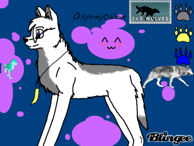 My OC