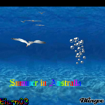 Summer In Australia - Wavy Water