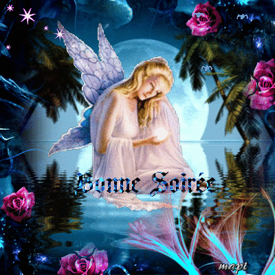 Bonne Soirée mes Ami(es)