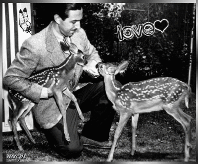 Bambi Vintage