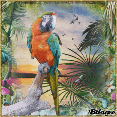 The Parrot Picture #124599984 | Blingee.com