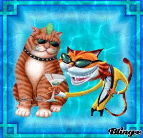 animali animali