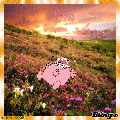 TROP DROLE MDR TROP DROLE MDR