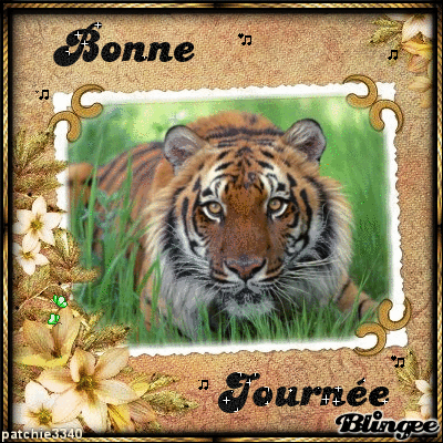BONNE JOURNEE