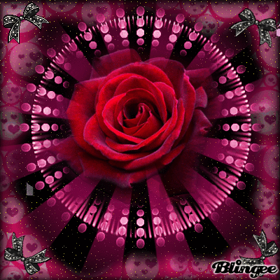 Https Encrypted Tbn0 Gstatic Com Images Q Tbn 3aand9gcqxtwmjhd19zay5rgijmi5 Kkczysi2jbrmla Usqp Cau