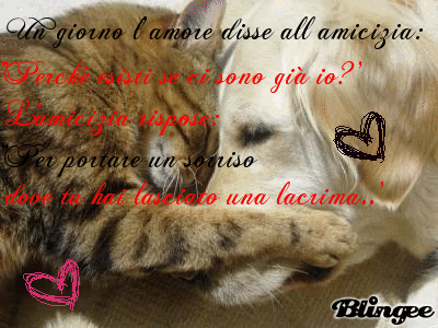 Una Bellissima Dedica Sull Amicizia 3 Picture 124877324 Blingee Com