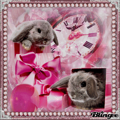 ♫Happy Birthday Anja♪ ♫Happy Birthday Anja♪