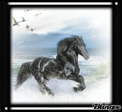 free online personals in des plaines Single des plaines disabled women interested in disabled dating are you looking for des plaines disabled women browse the latest members below to find your ideal partner create your. free online personals in des plaines Single des plaines disabled women interested in disabled dating are you looking for des plaines disabled women browse the latest members below to find your ideal partner create your.