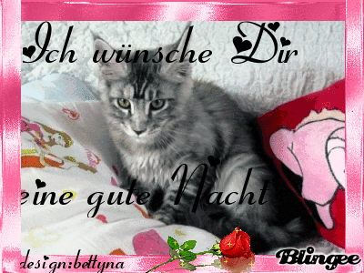 Https Encrypted Tbn0 Gstatic Com Images Q Tbn 3aand9gcsng2xgqykaukfuivw Gv0khlfpjakfwdxi9elntbcemvjkvc7t Usqp Cau