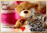 Tigerbärchen-Gute-Nacht