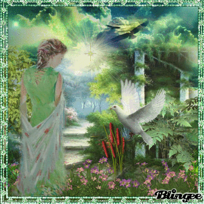Wellness Garden- Wellness Garden-