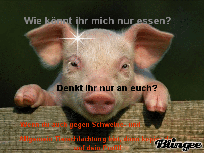 Tierschlachtung Tierschlachtung