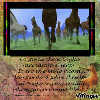 Gif di cavalli selvaggi tumblr