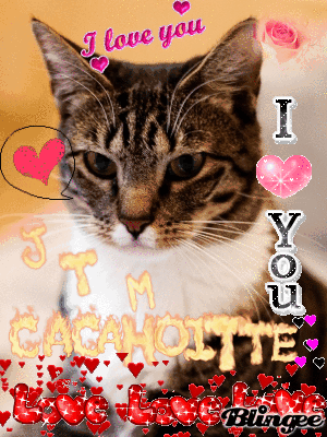 Tu Me Manque Cacahoitte Je T Aime Picture 125191415 Blingee Com Crea cada fotograma del gif animado como una capa de photoshop diferente. blingee com