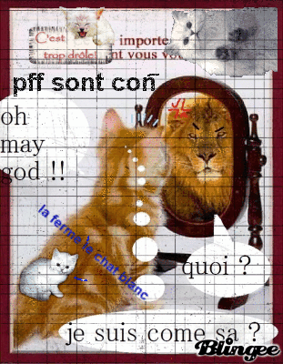 chat marrant