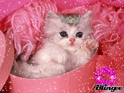 Afficher l'image d'origine