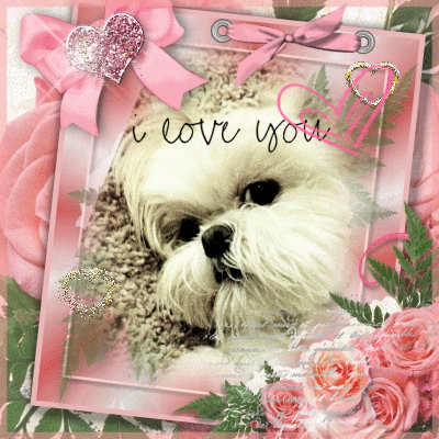 I Love Youve Dog Animated Picture Codes And Downloads 125358165