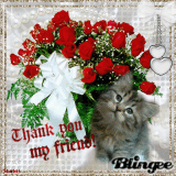 I thank you my friend 