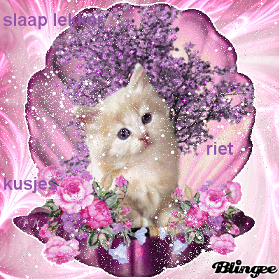 slaap lekker picture #125565977 | blingee