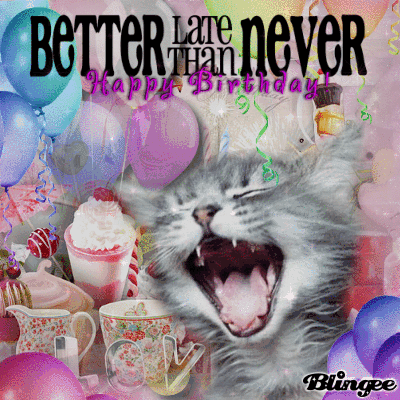 Belated Birthday Cat