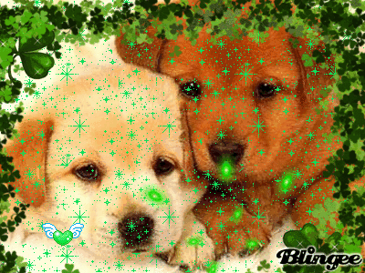 Cagnolini Teneri Immagini Animate Da Condividere 125632751 Blingee Com