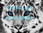 Animated Picture