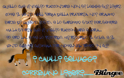 Gif di cavalli selvaggi tumblr