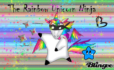 The Rainbow Unicorn Ninja The Rainbow Unicorn Ninja
