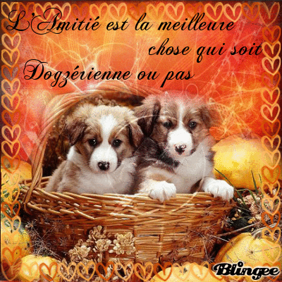 ***_°Commande°_/*** ***_°Commande°_/***