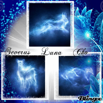 Seveus Luna Cho Picture 125939212 Blingee Com But evanna wanted to take the pottermore test to see what she would get. blingee com