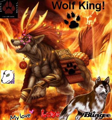 Wolf King! Picture #126052027 | Blingee.com