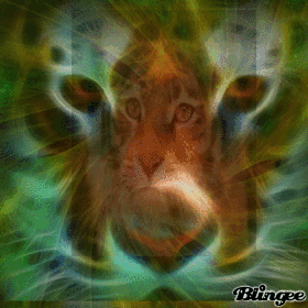 ˙·•●o°OƸ̵̡Ӝ̵̨̄Ʒ  Sunshine001 Ƹ̵̡Ӝ̵̨̄ƷO°o●•·˙