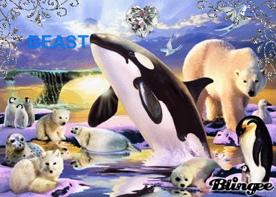 762722754_1706146.gif