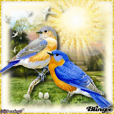 Image result for birds in spring blingee