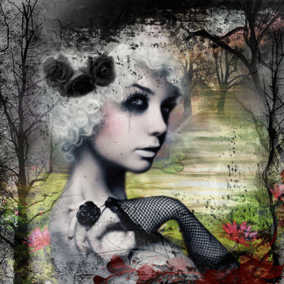 Dark Forest Mistress Picture 126260248