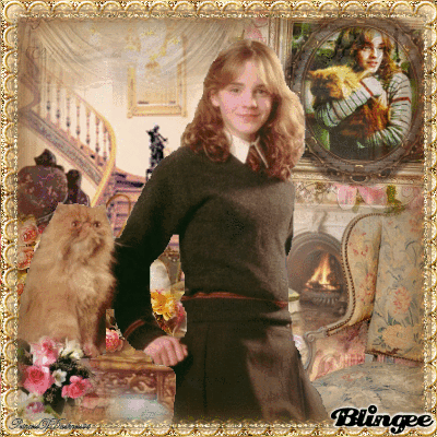 Order Stamps Online >> Hermione Granger and Crookshanks Picture #126300969 | Blingee.com Order Stamps Online >> Hermione Granger and Crookshanks Picture #126300969 | Blingee.com
