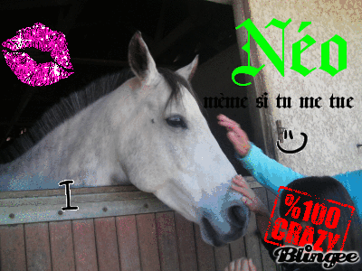 Néo