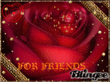 FOR FRIENDS