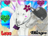 Koga x Angel-Canine Couple
