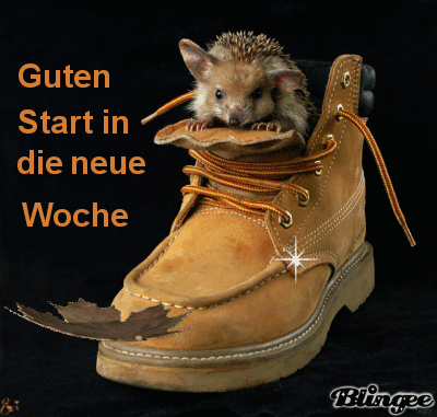 guten Wochenstart ,herbstlich Bild #126416508 | Blingee.com