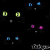 Поговорим о кошках 42