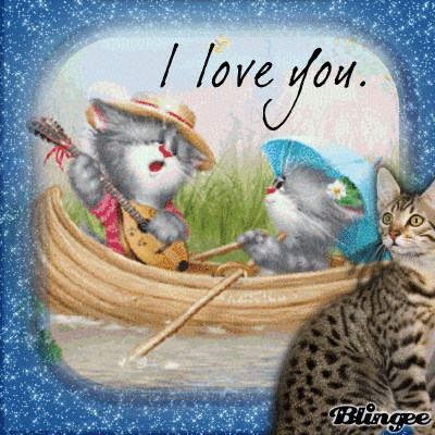 Good Morning Cat Lovers Picture #126588396  Blingee.com